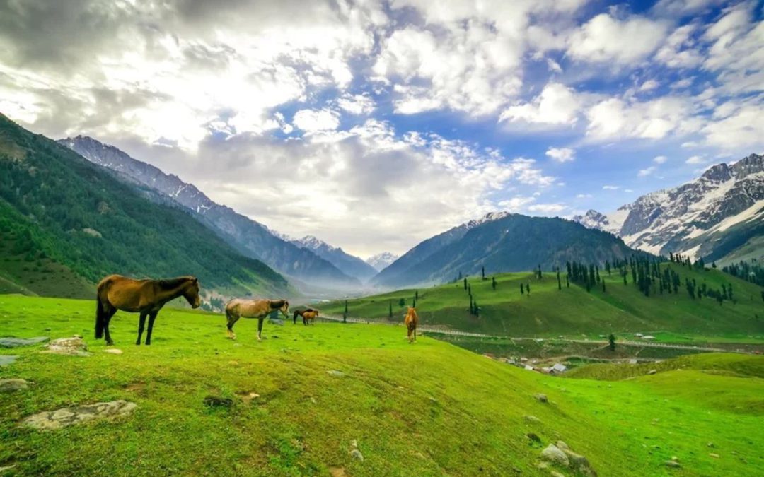 Exploring the Paradise on Earth: A Memorable Kashmir Trip with BKV Holidays & Visa