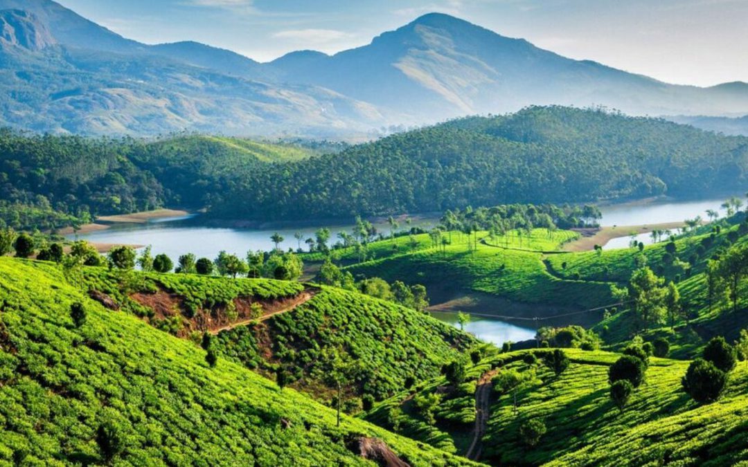 Unwinding in God’s Own Country: A Relaxing Kerala Trip with BKV Holidays & Visa